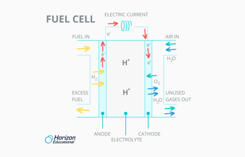 Hydrogen Fuel Cells – How Do They Work?